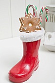 Gingerbread star and candy canes in red rubber boot