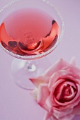 Rose liqueur in glass with sugared rim, rose beside it