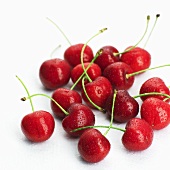 Red cherries with water droplets