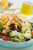 Mexican salad with tortilla strips (detail)