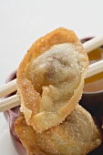 Deep-fried dim sum on chopsticks (close-up)