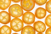 Many kumquat slices (backlit)