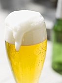 Glass of lager with overflowing head of foam