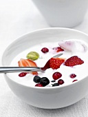 Yoghurt with fresh berries