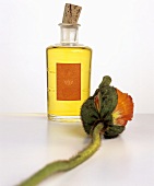 Poppy seed oil in small bottle, poppy beside it