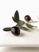 Schwarze Oliven mit Blättern