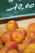 Apricots on a market stall