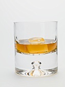 Glass of whisky with ice cube