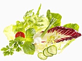 Various salad ingredients