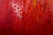 Red apple with drops of water (detail)