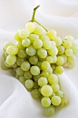 Fresh green grapes on white cloth