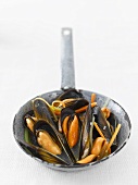 Steamed mussels in frying pan