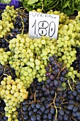 Grapes on a market stall in Italy