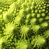 Romanesco broccoli (full-frame)