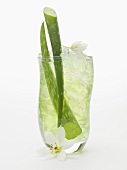 Aloe vera juice with ice cubes