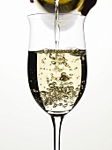 Pouring white wine into a glass