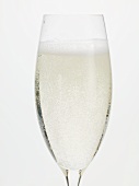 Glass of sparkling wine