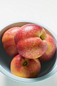 Four nectarines in a bowl