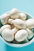 Fresh button mushrooms in a bowl
