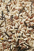 Wild rice mixture (full-frame)