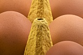 Eggs in egg box (close-up)