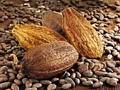 Cocoa fruits and cocoa beans