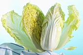 Chinese cabbage, cut in half