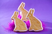 Three Easter Bunny biscuits