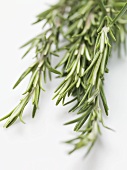 Several sprigs of rosemary (detail)