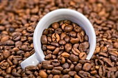 Coffee beans with espresso cup lying on its side