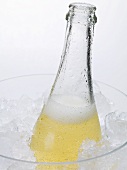 Open bottle of sparkling wine in ice bucket