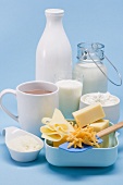 Various dairy products and cheese