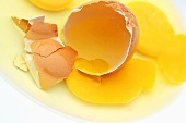 Broken egg with egg yolk