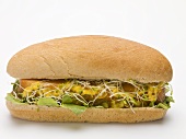 A hot dog with sprouts and lettuce