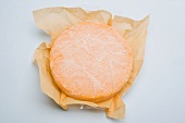 Washed-rind cheese in paper