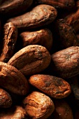 Viele Kakaobohnen (Close Up)
