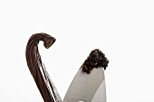 Vanilla pod and knife with vanilla seeds on tip (close-up)