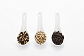 Different types of peppercorns in three spoons