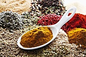Curry powder in porcelain spoon on assorted spices