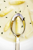 Cream of asparagus soup (detail)