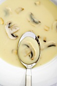 Cream of mushroom soup (detail)