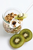 Yoghurt with muesli and kiwi fruit on spoon