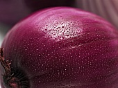 Red onion with drops of water (close-up)