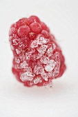 A frozen raspberry