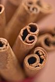 Several cinnamon sticks (close-up)