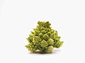 Romanesco Broccoli on White Background
