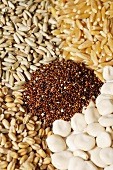 Five different types of cereal grains (full-frame)