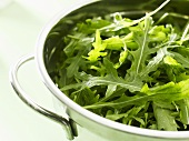 Fresh rocket in bowl