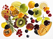 Various types of fruit on white background