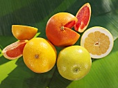 Various types of grapefruit and pieces of grapefruit on banana leaf
